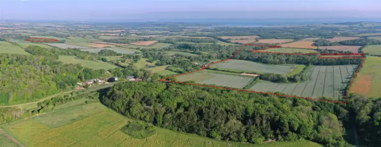 Swainston