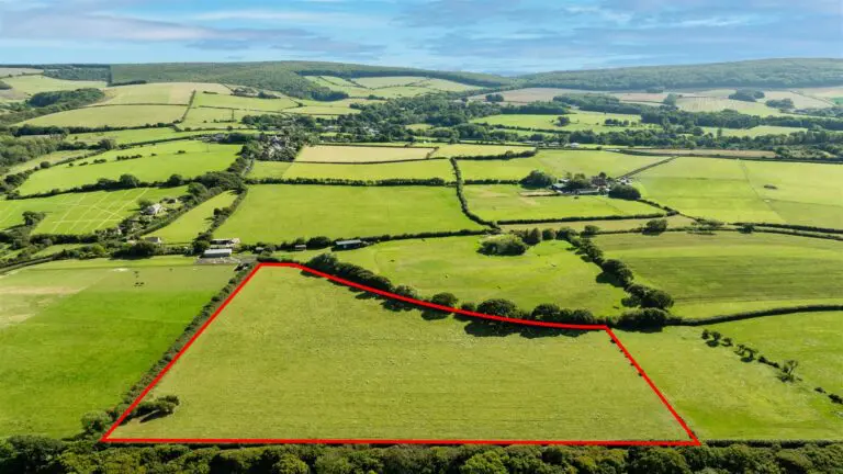 Lot 3 – Calbourne