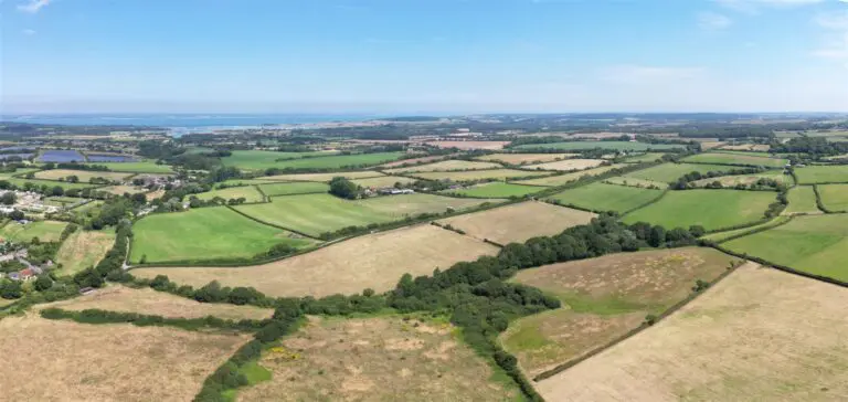 Lot 2 – Calbourne