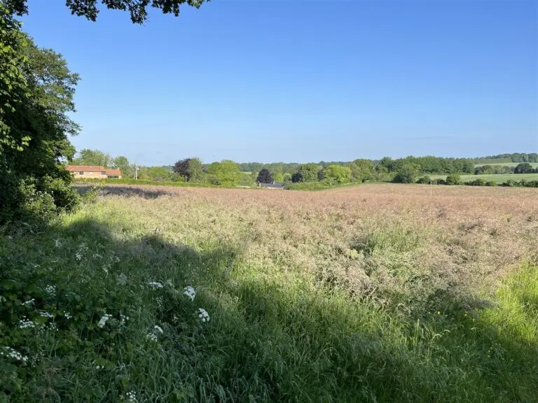 Land at West End Lane