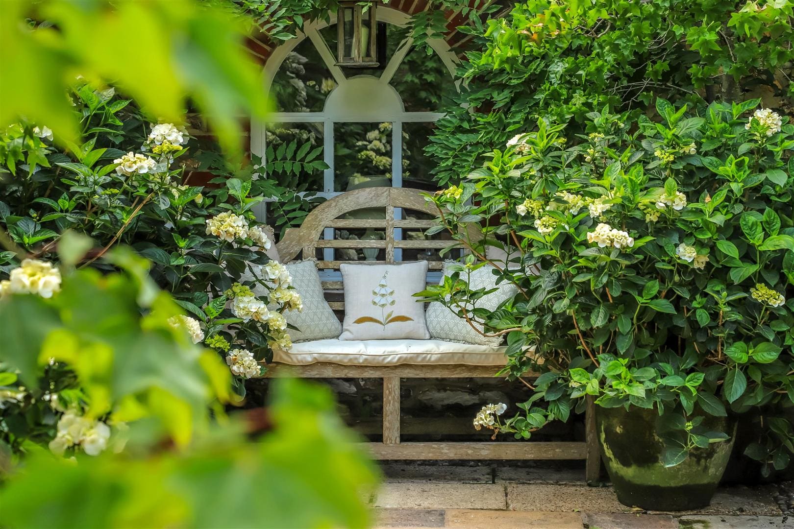 Lettings Update: Autumn 2024
